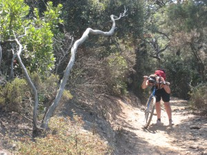 C'est presque trop facile!!